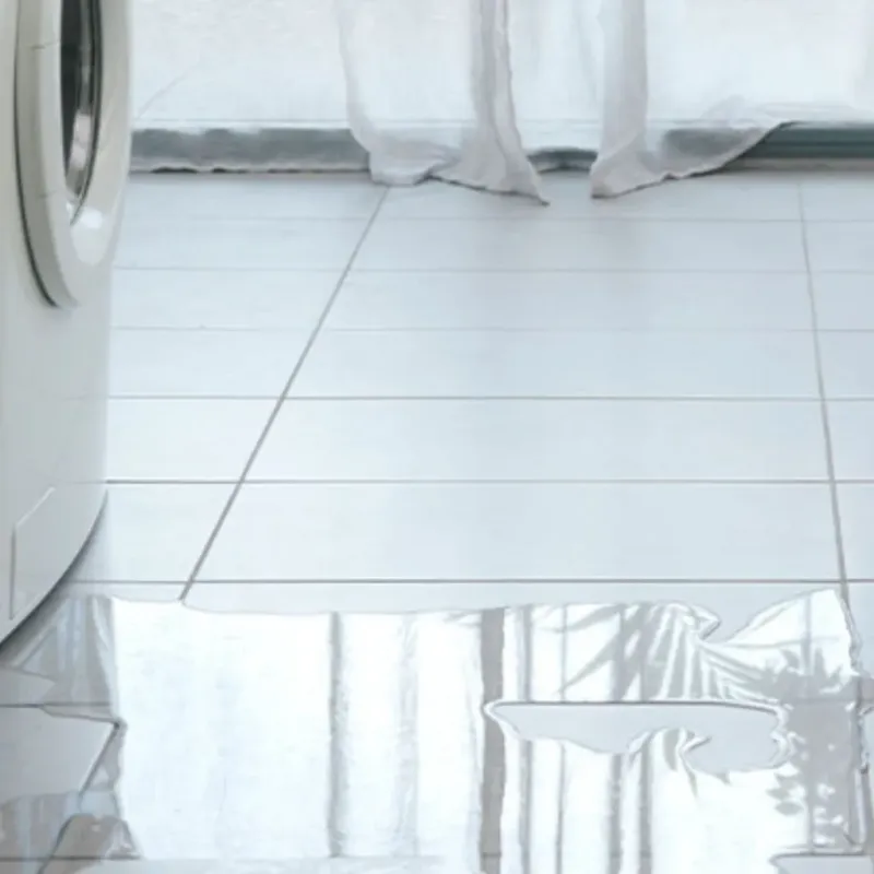 Appliance Leak Cleanup in Kenedy, TX