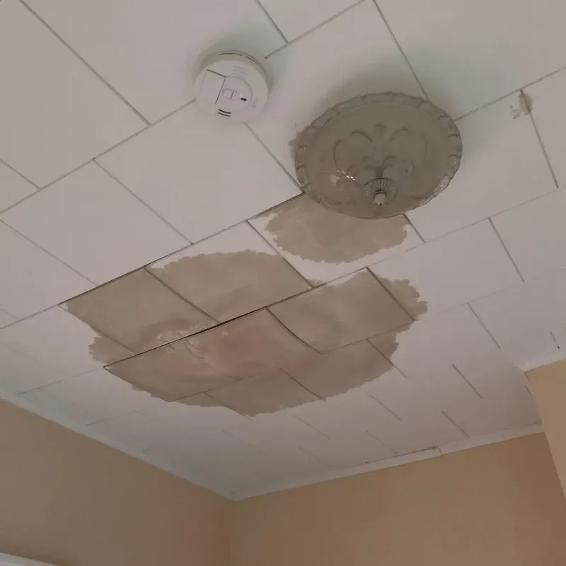 Ceiling Water Damage Repair in Kenedy, TX